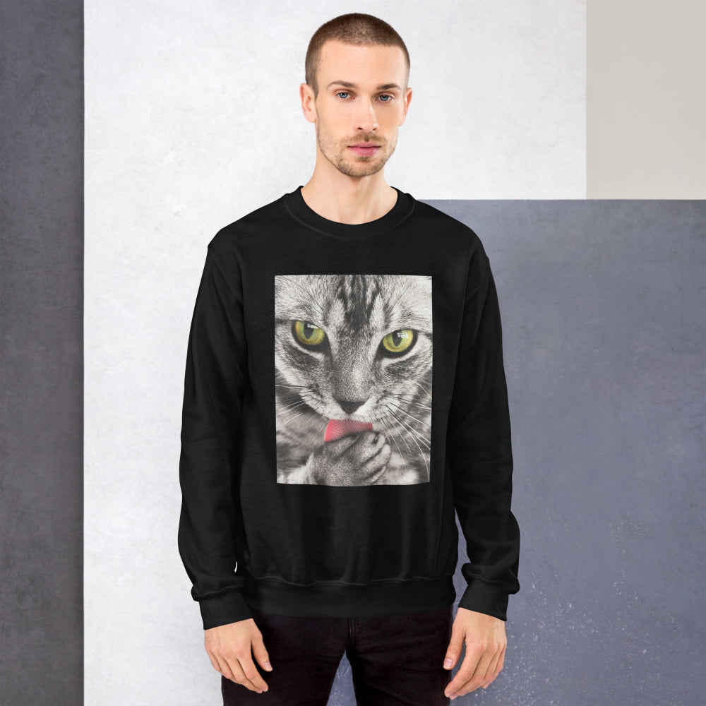 sweatshirt-pullover-cute-tabby-cat-pink-design-snapnote-streetwear-black-man-front