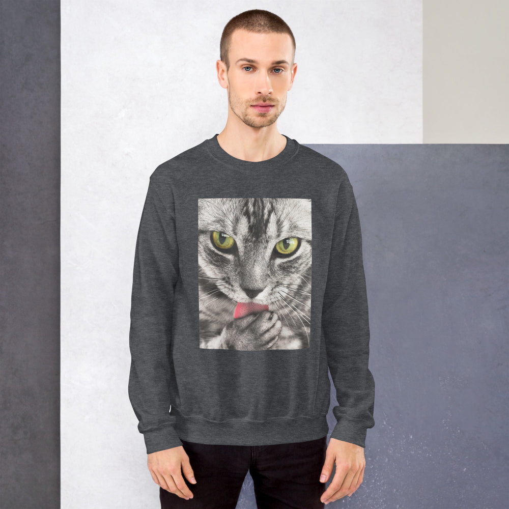sweatshirt-pullover-cute-tabby-cat-pink-design-snapnote-streetwear-dark-heather-man-front