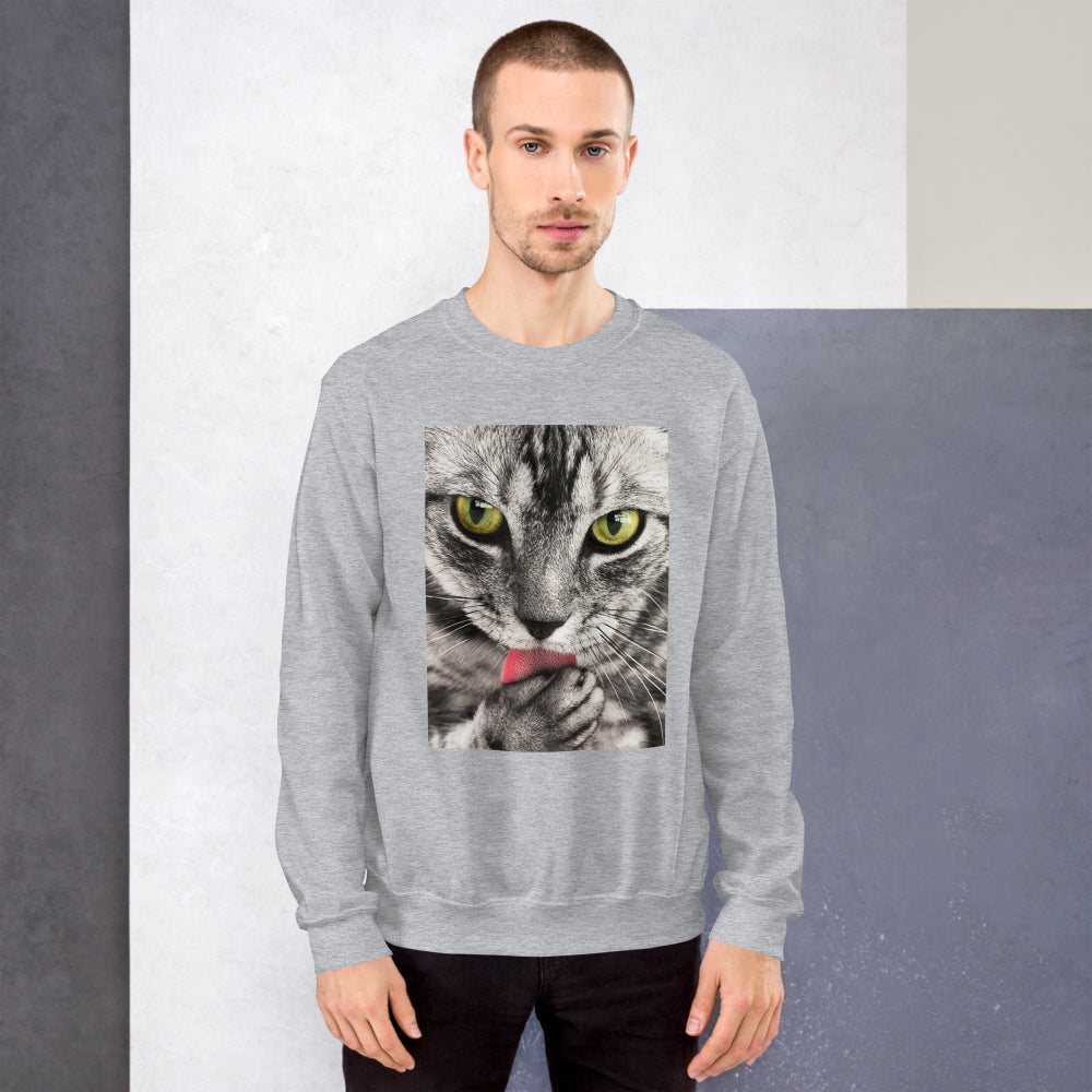 sweatshirt-pullover-cute-tabby-cat-pink-design-snapnote-streetwear-sport-grey-man-front