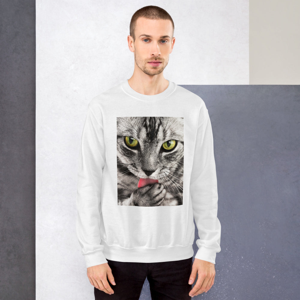 sweatshirt-pullover-cute-tabby-cat-pink-design-snapnote-streetwear-white-man-front