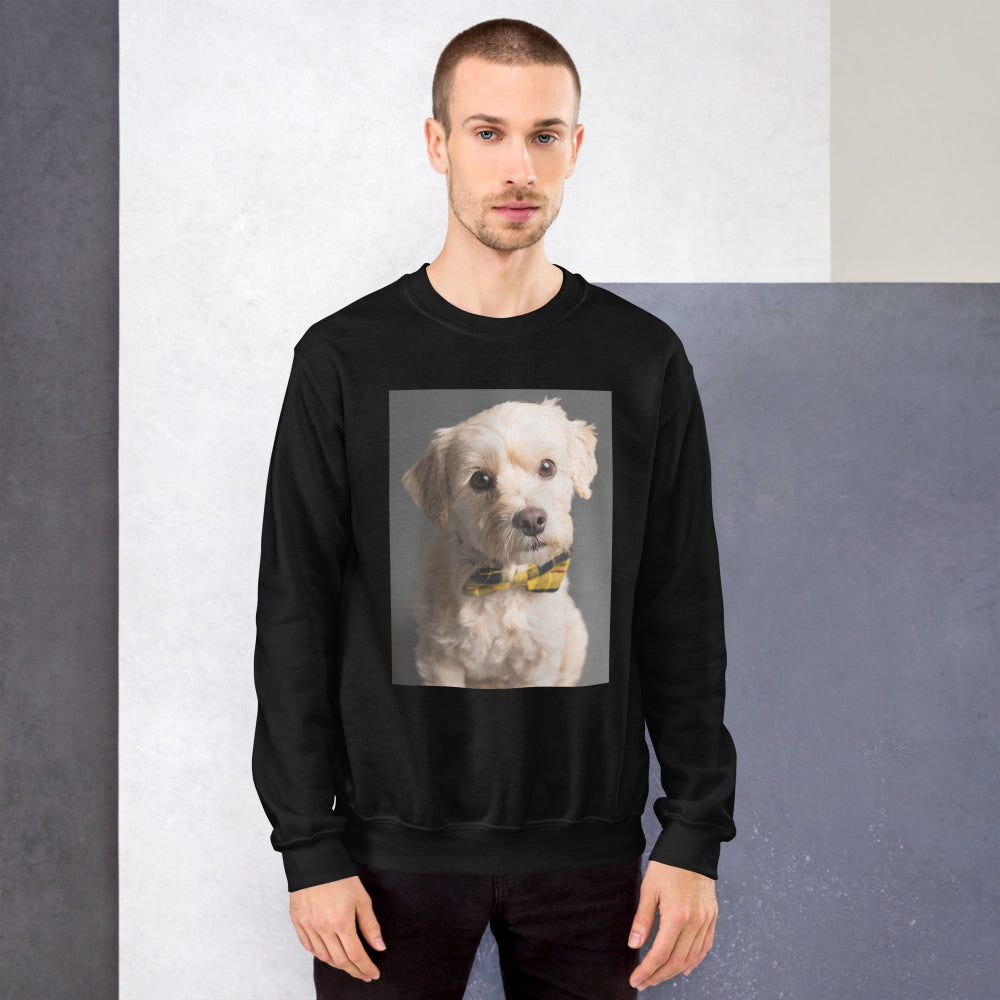 sweatshirt-pullover-elegant-doggy-yellow-design-snapnote-streetwear-black-man-front