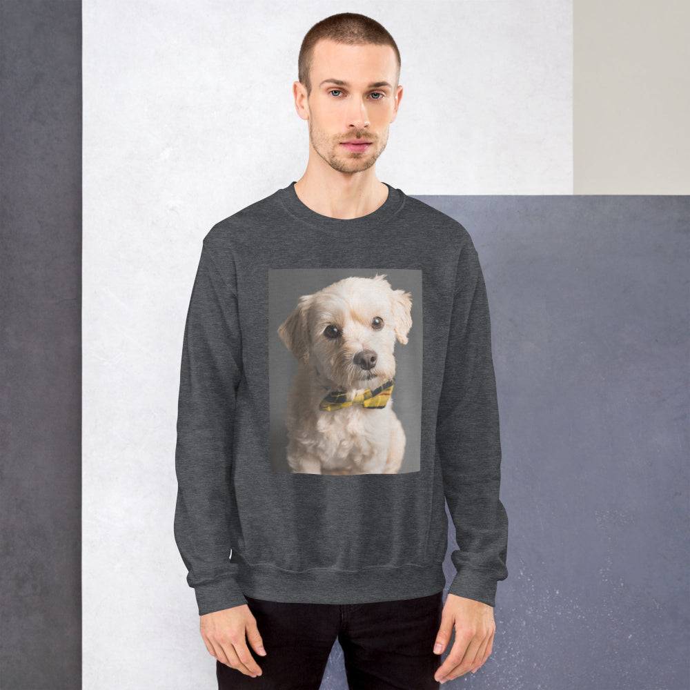 sweatshirt-pullover-elegant-doggy-yellow-design-snapnote-streetwear-dark-heather-man-front