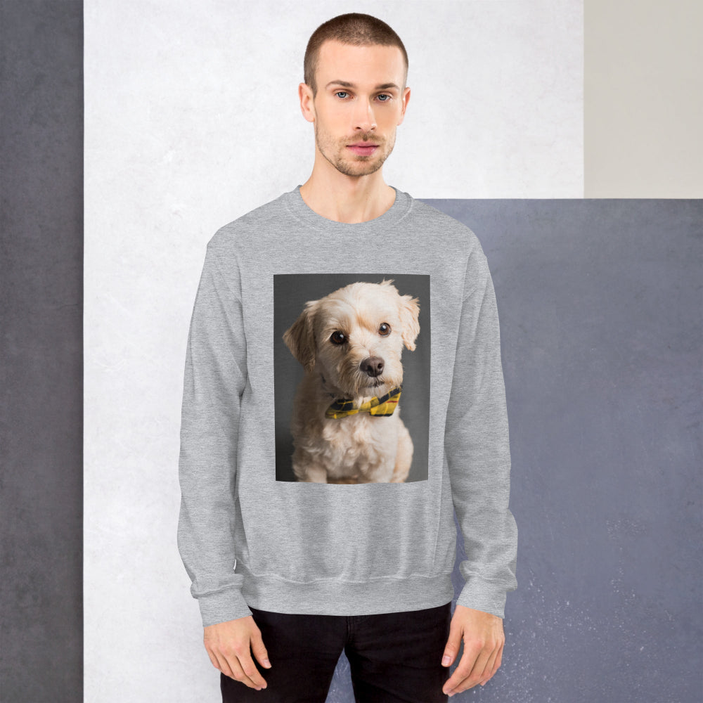 sweatshirt-pullover-elegant-doggy-yellow-design-snapnote-streetwear-sport-grey-man-front