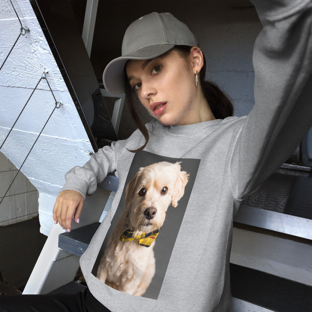 sweatshirt-pullover-elegant-doggy-yellow-design-snapnote-streetwear-sport-grey-woman-front