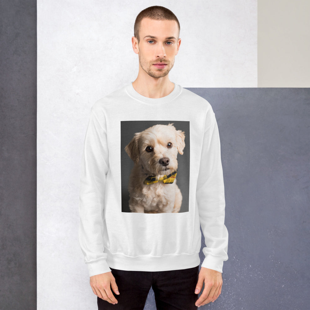 sweatshirt-pullover-elegant-doggy-yellow-design-snapnote-streetwear-white-man-front